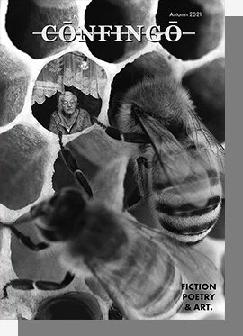 Confingo issue 16 cover featuring two bees on homeycomb and a old lady peering out under netted curtains