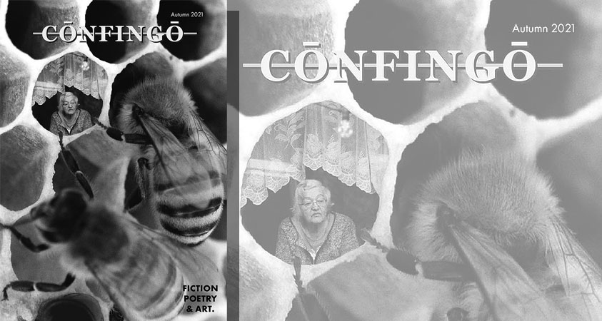 Confingo magazine cover featuring an old lady looking out from a honeycomb window with some black and white bees